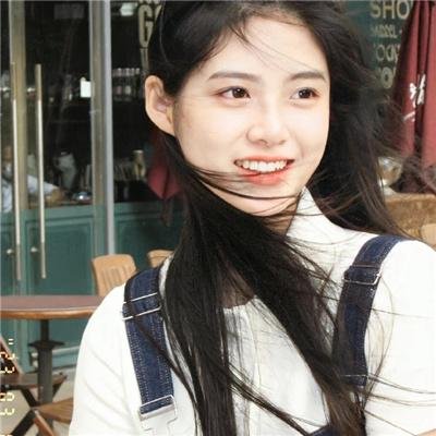 鱼与猫